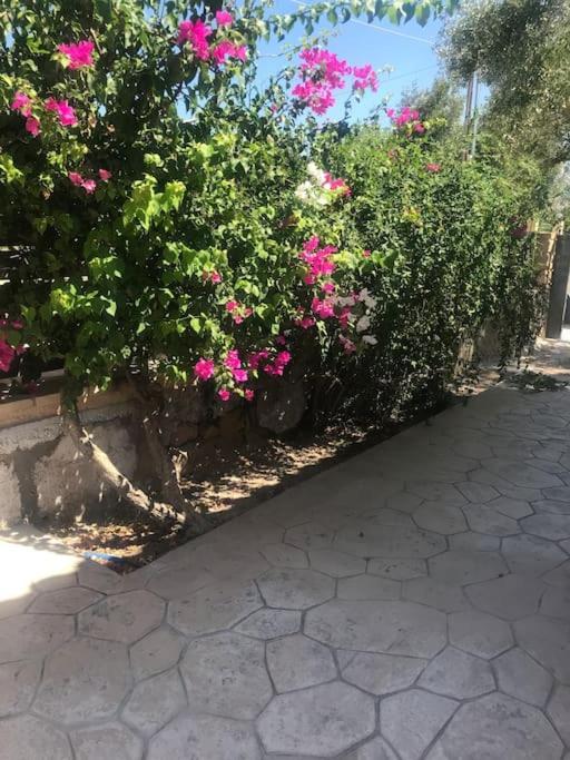 Πέτρινη Κατοικία Στην Αίγινα - Stone House In Aigina Khloi Eksteriør billede