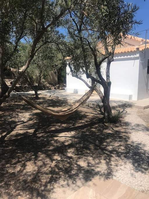 Πέτρινη Κατοικία Στην Αίγινα - Stone House In Aigina Khloi Eksteriør billede