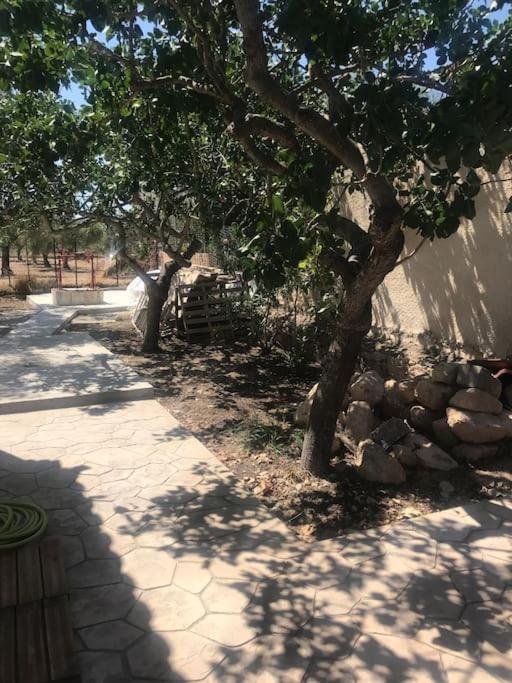 Πέτρινη Κατοικία Στην Αίγινα - Stone House In Aigina Khloi Eksteriør billede