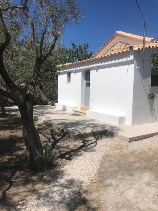 Πέτρινη Κατοικία Στην Αίγινα - Stone House In Aigina Khloi Eksteriør billede
